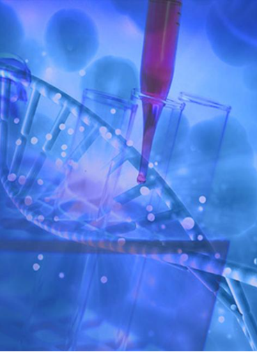 了解结肠癌的新计算模型